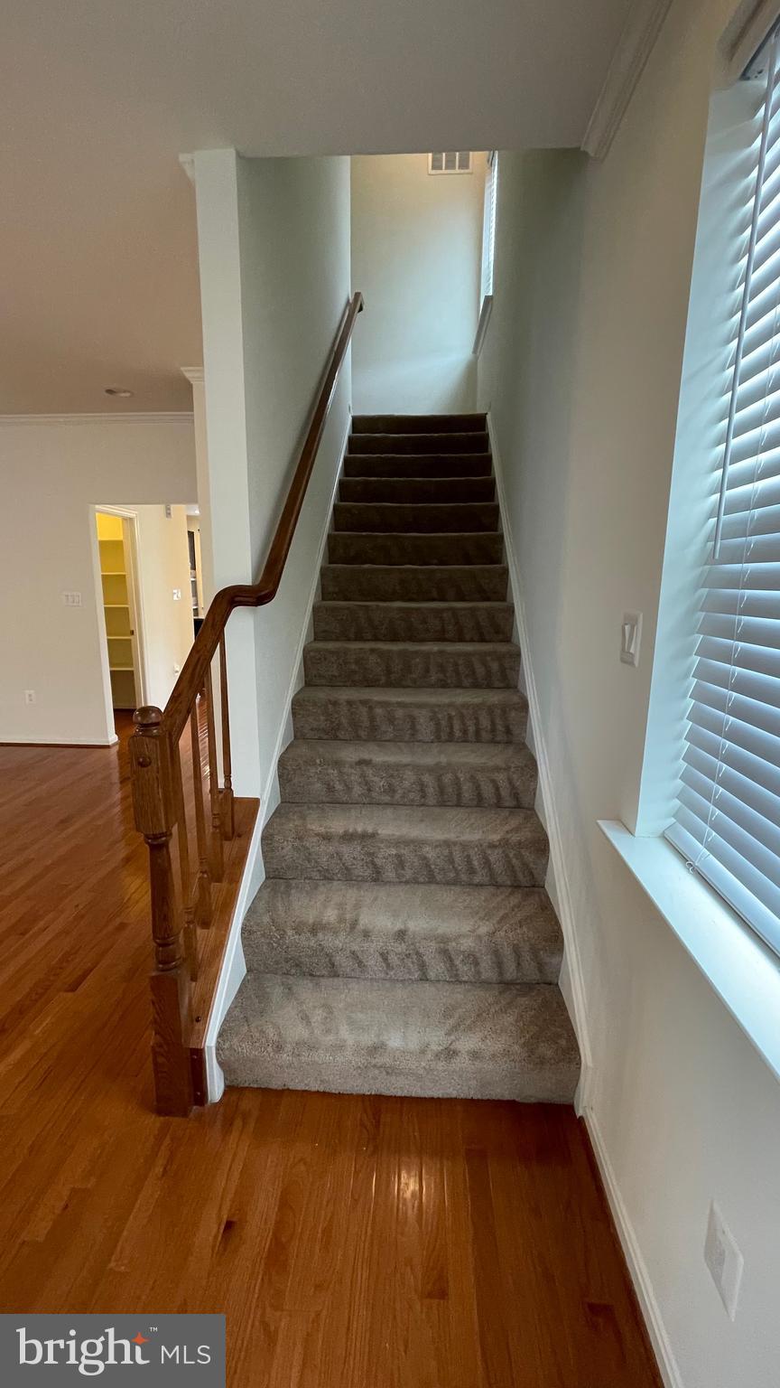 BELMONT ESTATES - Residential Lease