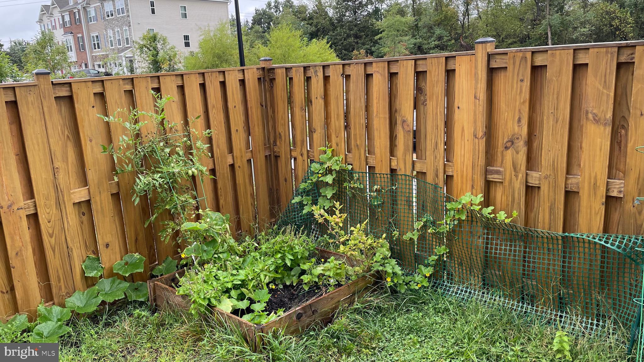 BELMONT ESTATES - Residential Lease