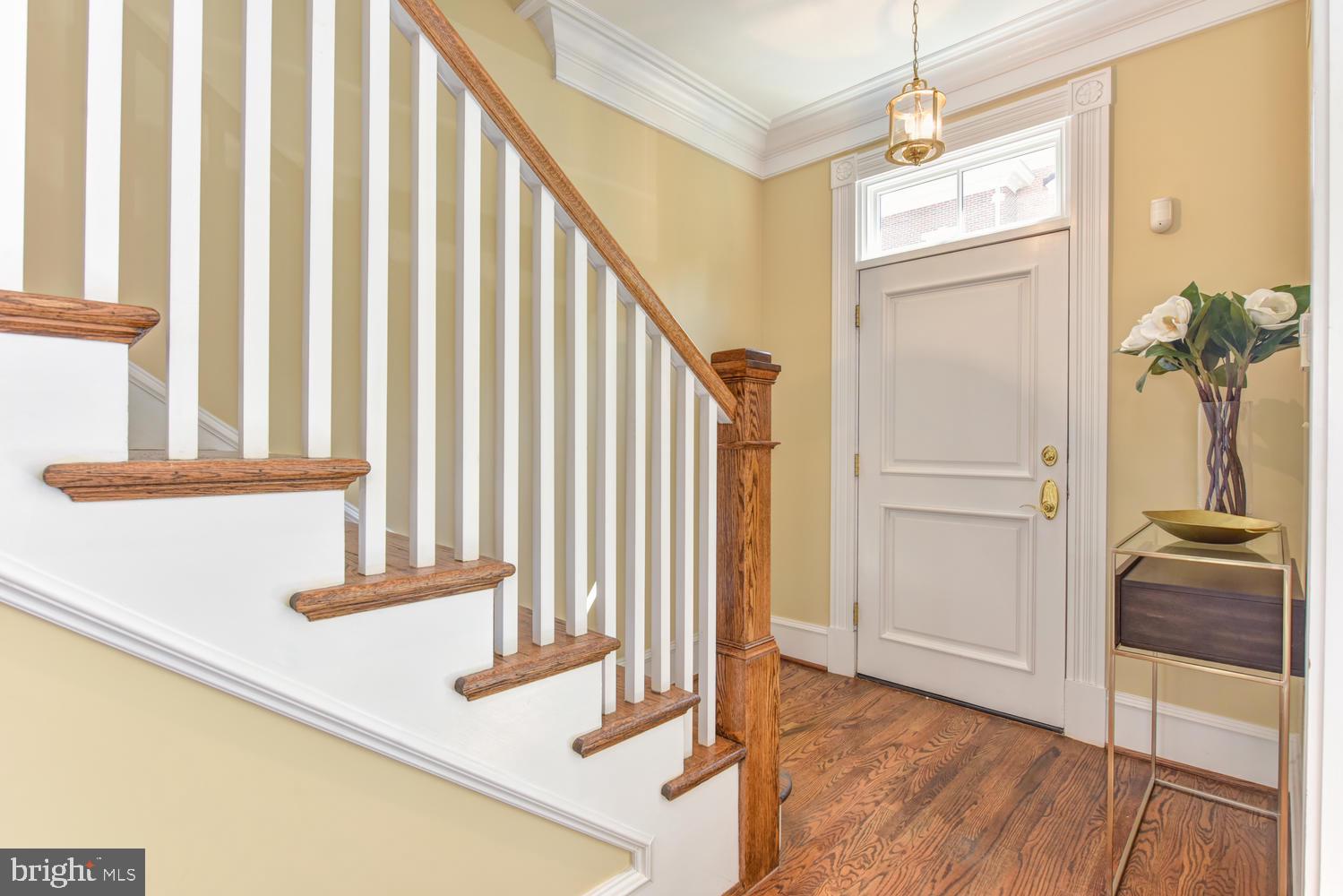 BACKYARD BOATS - Residential