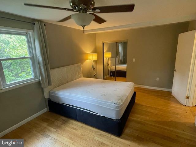 ROSEMONT EAST - Residential