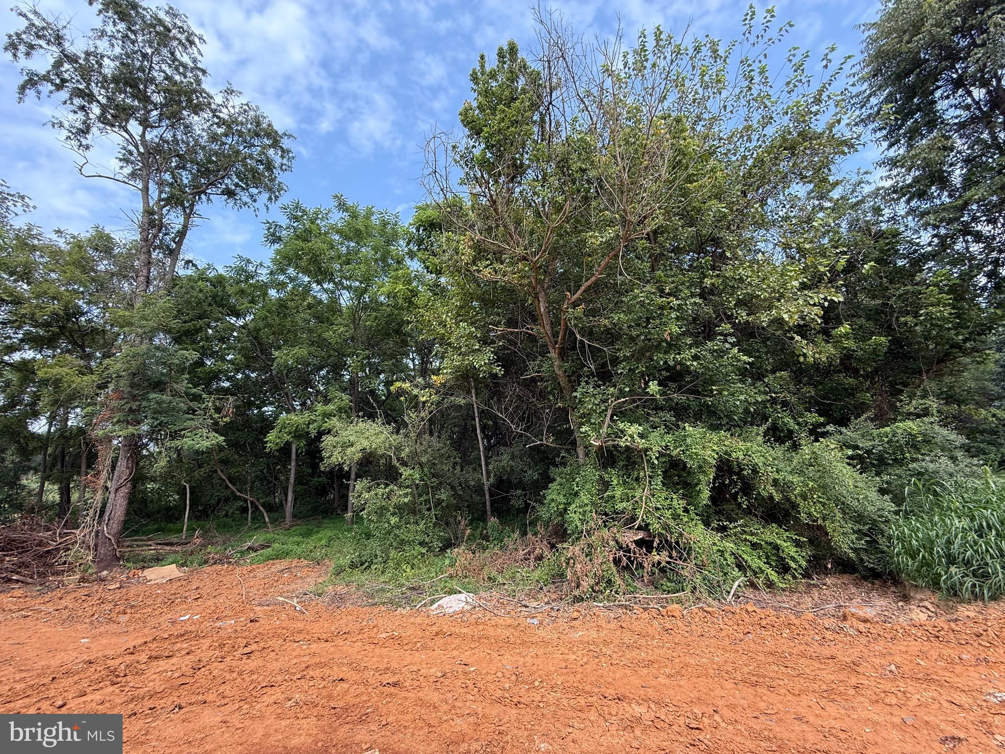 BELLWOODE - Residential