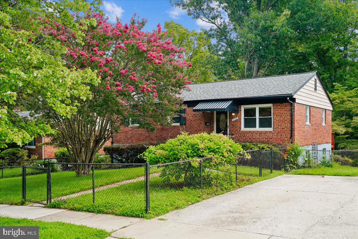 11705 ASHLEY DRIVE