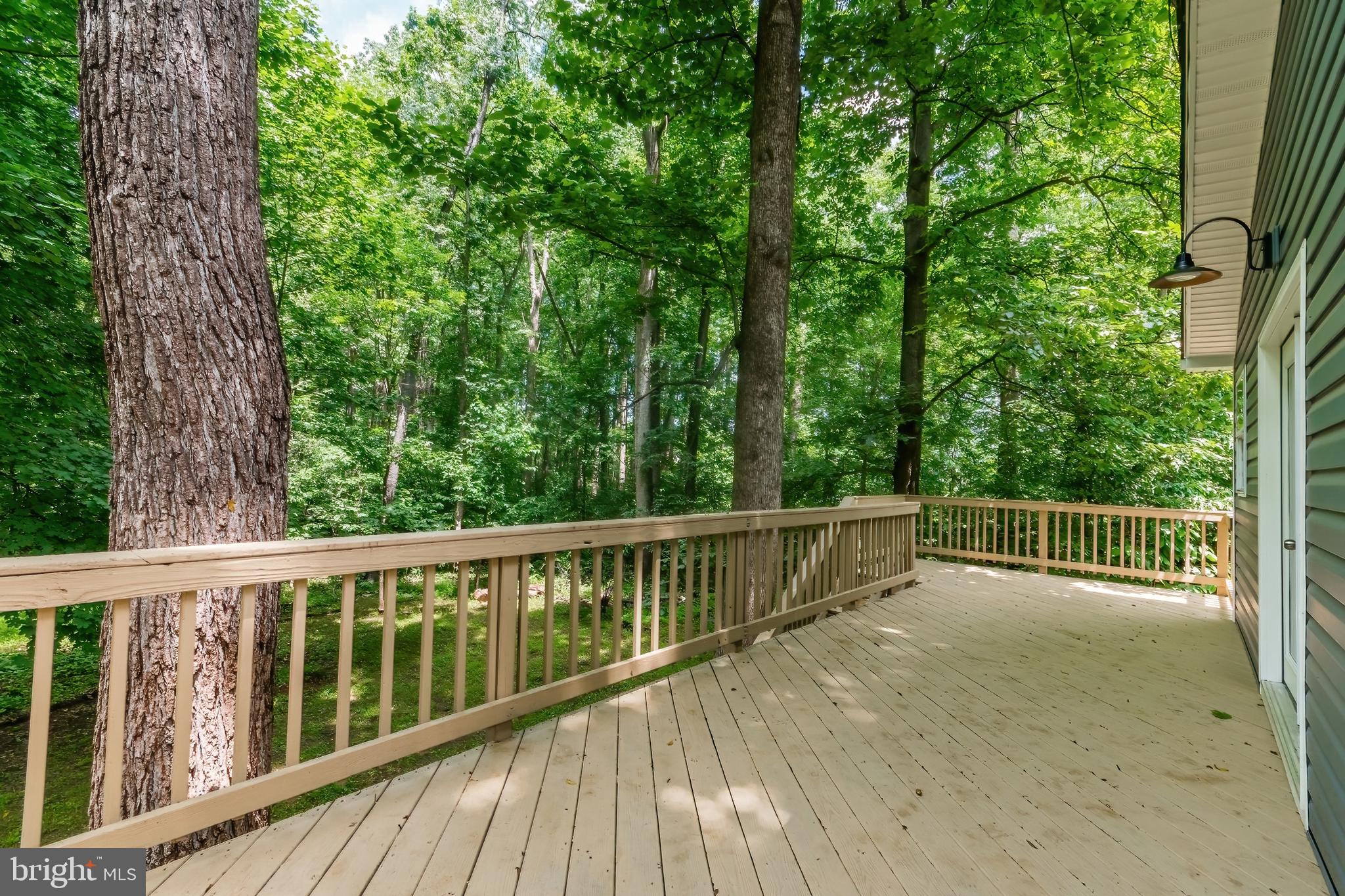 CHAPLINE'S CHOICE - Residential