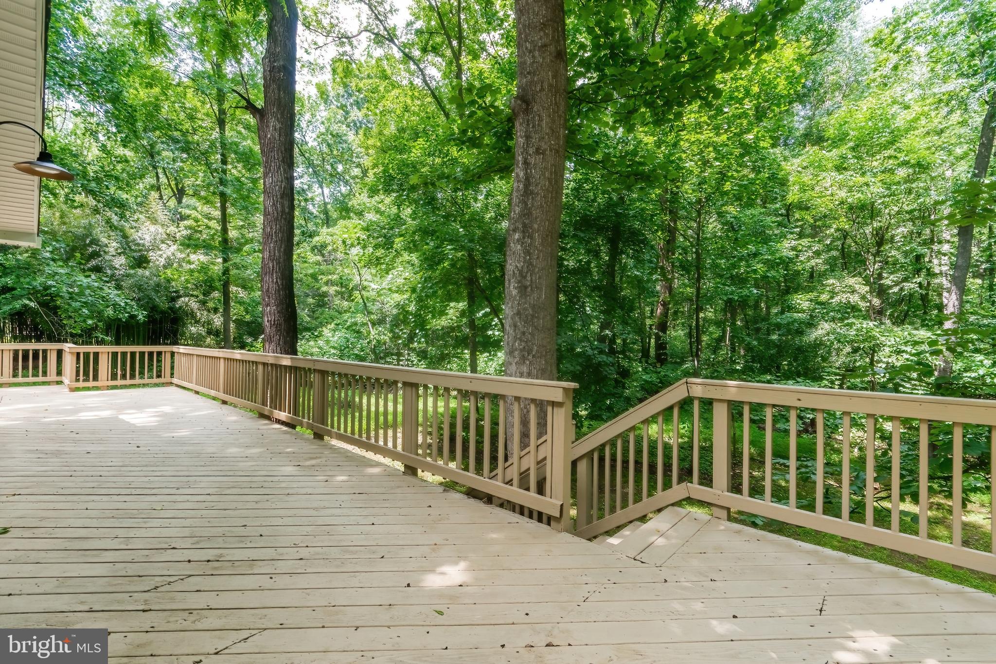 CHAPLINE'S CHOICE - Residential