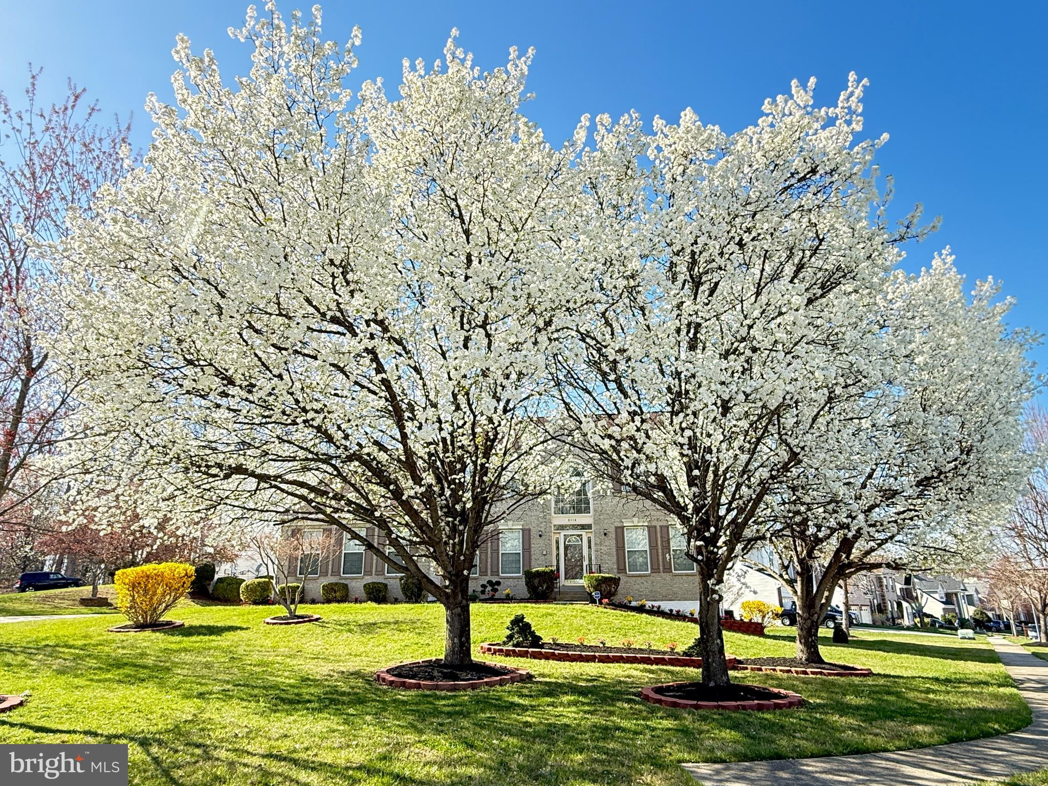 HILLANTRAE - Residential