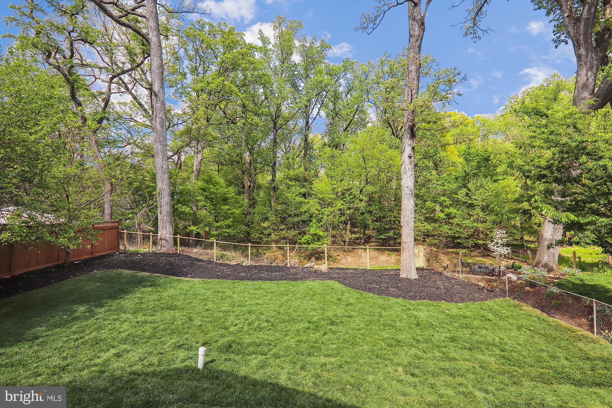 TAKOMA PARK - Residential