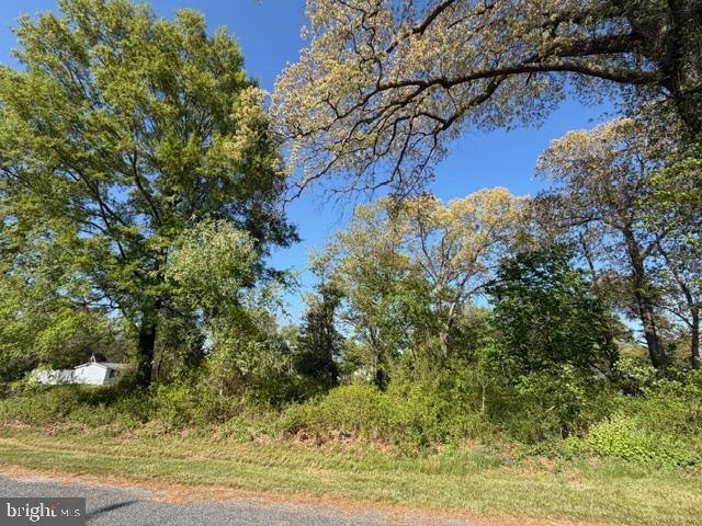 CRUMPTON - Residential