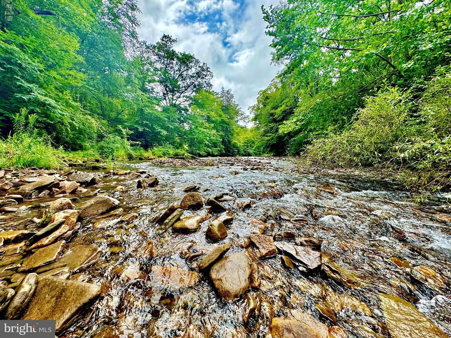 "15 +/- Acres minutes from Canaan Valley" Just 7 +/- miles from Canaan Valley Resort & Timberline Mountain sits this nearly 15 ACRE riverfront property. This tract offers over 350 yards +/- of river frontage on Dry Fork and a 8 +/- acre flat field with a natural waterfall spring, electric, fruit trees, wild blackberries, and breathtaking West Virginia Mountains all around. Wildlife is abundant here with deer, turkey, bear, bobcat, & more. River access to one of West Virginia's wild & stocked trout streams. This property is in the center of recreation in the state of West Virginia with miles & miles of stocked trout water, thousands of acres of National Forest, ski resorts, hiking, biking, hunting, rock climbing, whitewater rafting, horseback riding, and more nearby.. 12 +/- miles to Seneca Rocks, 20 +/- miles to Elkins, 30 +/- miles to Petersburg, 50 +/- miles to Deep Creek Lake, MD, 70 +/- miles to Snowshoe Mountain, 100 +/- miles to Winchester, VA! Call today for your Private Showing!