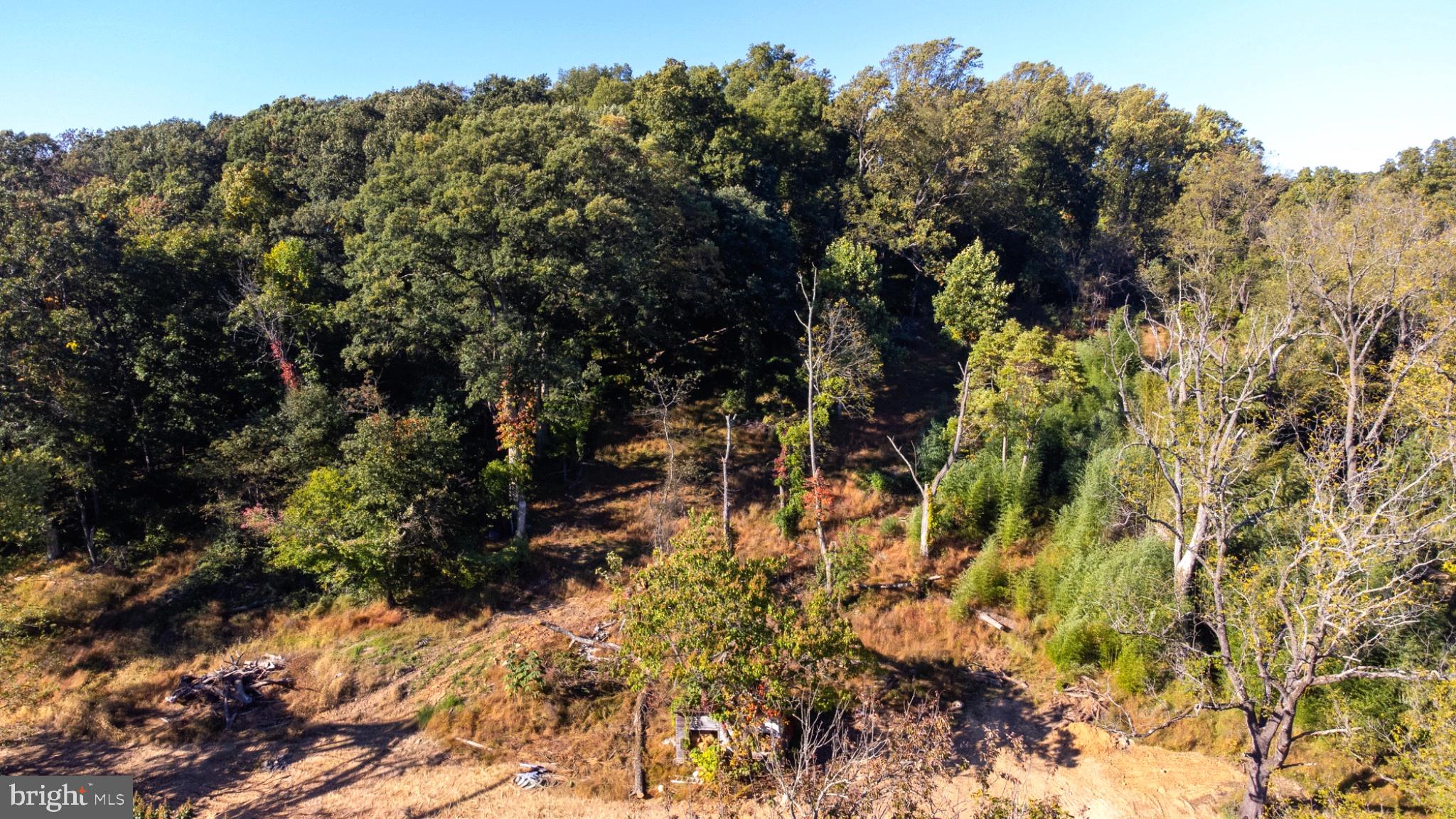 1209 ELBOW LANE