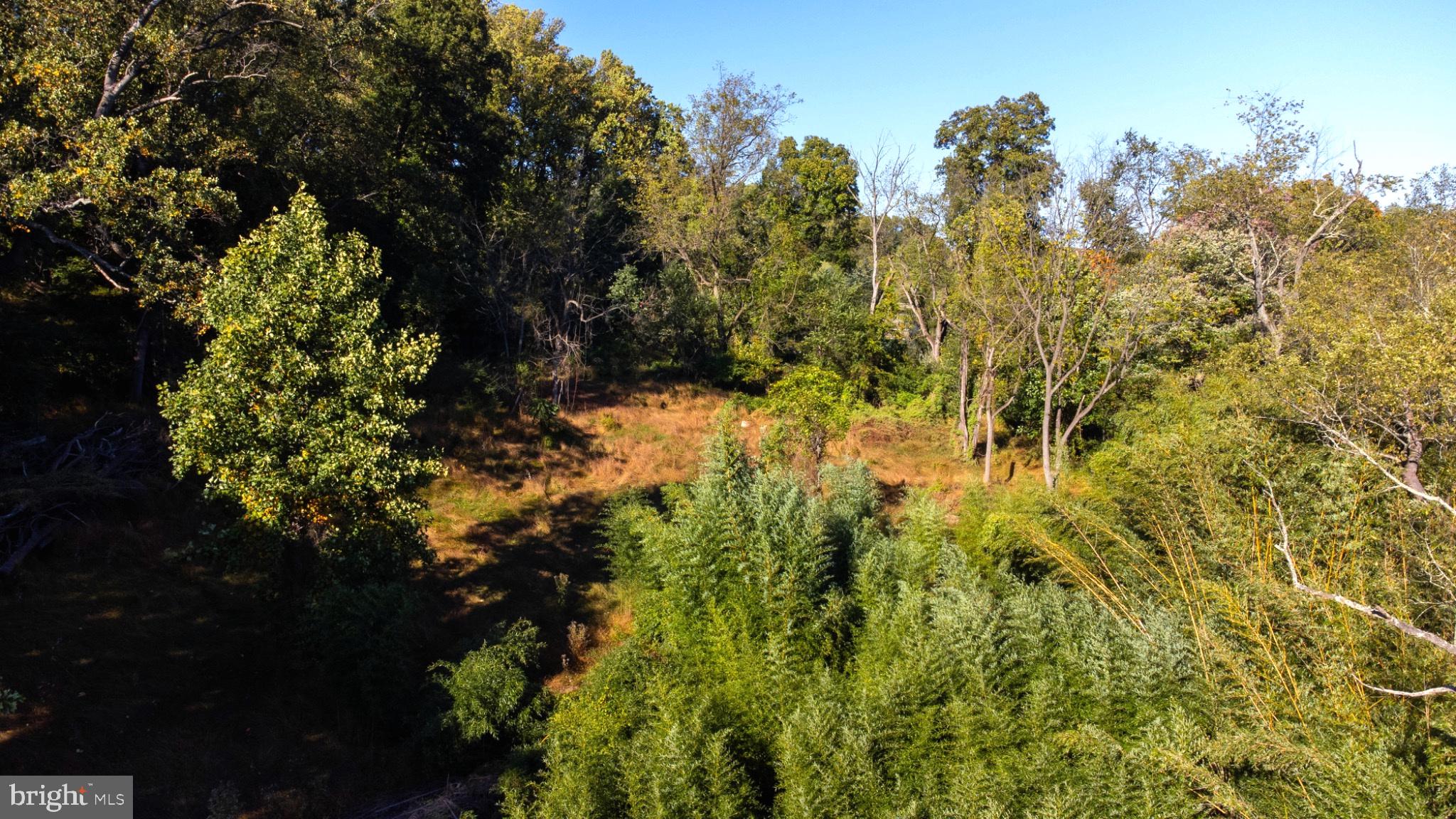 1209 ELBOW LANE