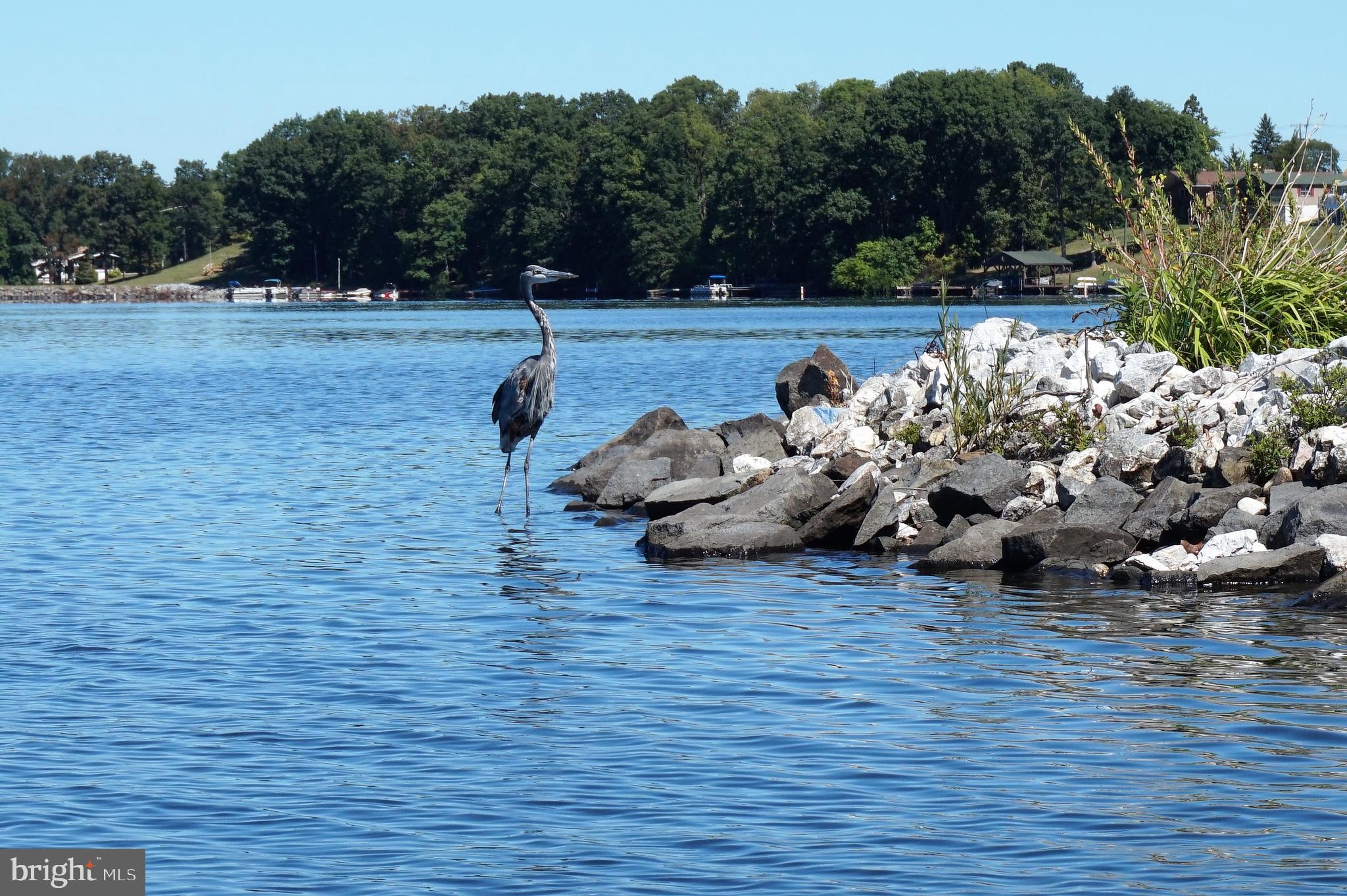 LAKE MEADE - Residential