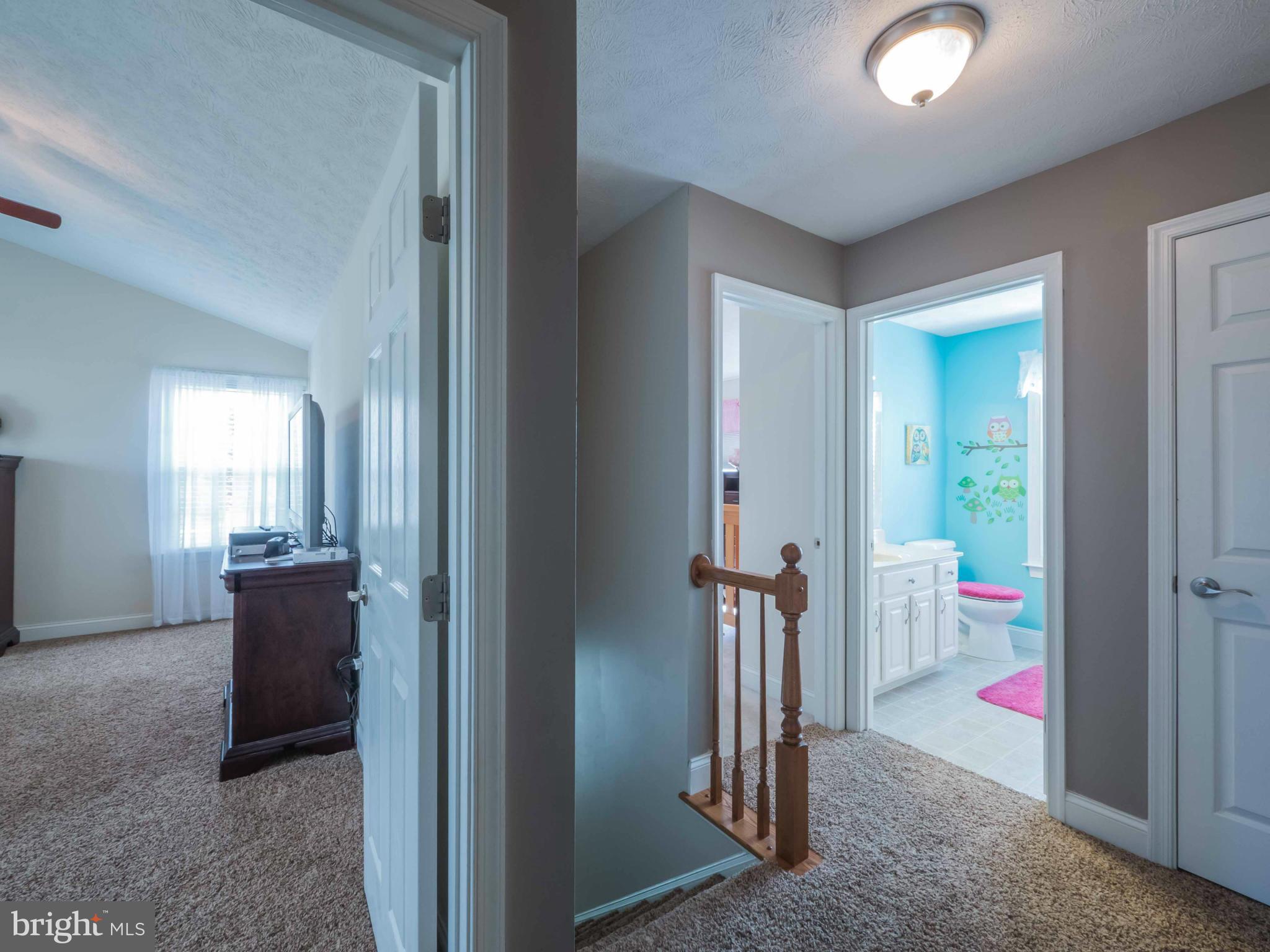 HIDDEN TREASURE - Residential