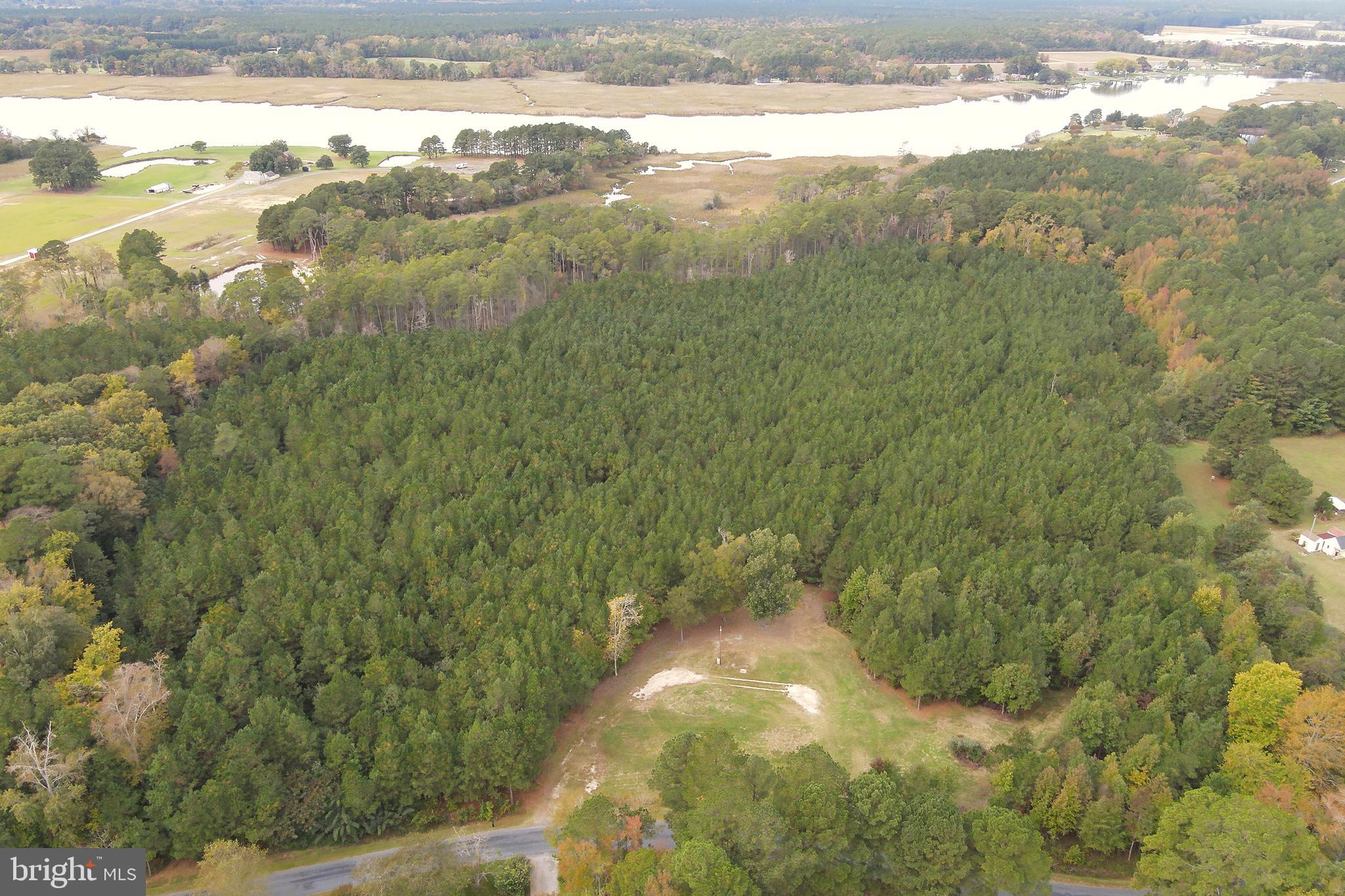 24959 COLLINS WHARF ROAD