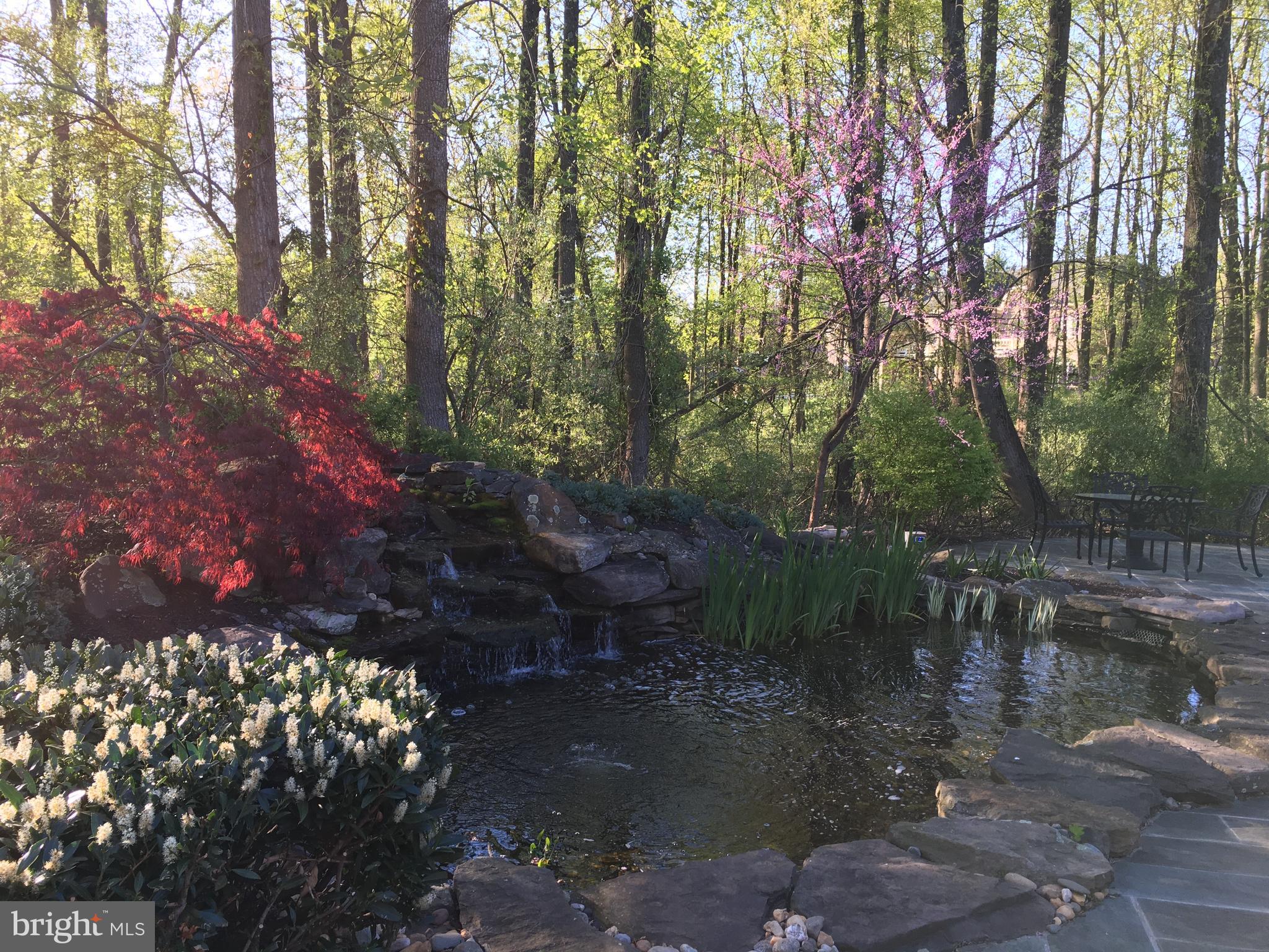 PINDELL WOODS - Residential