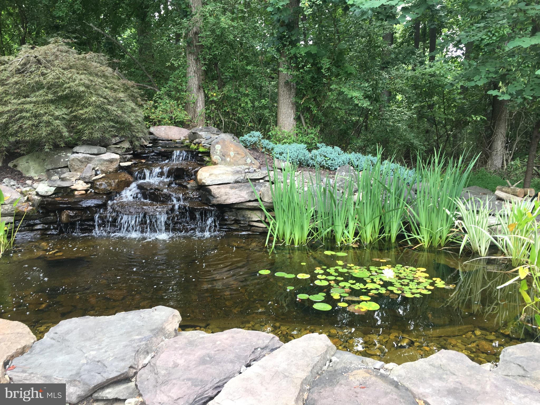 PINDELL WOODS - Residential