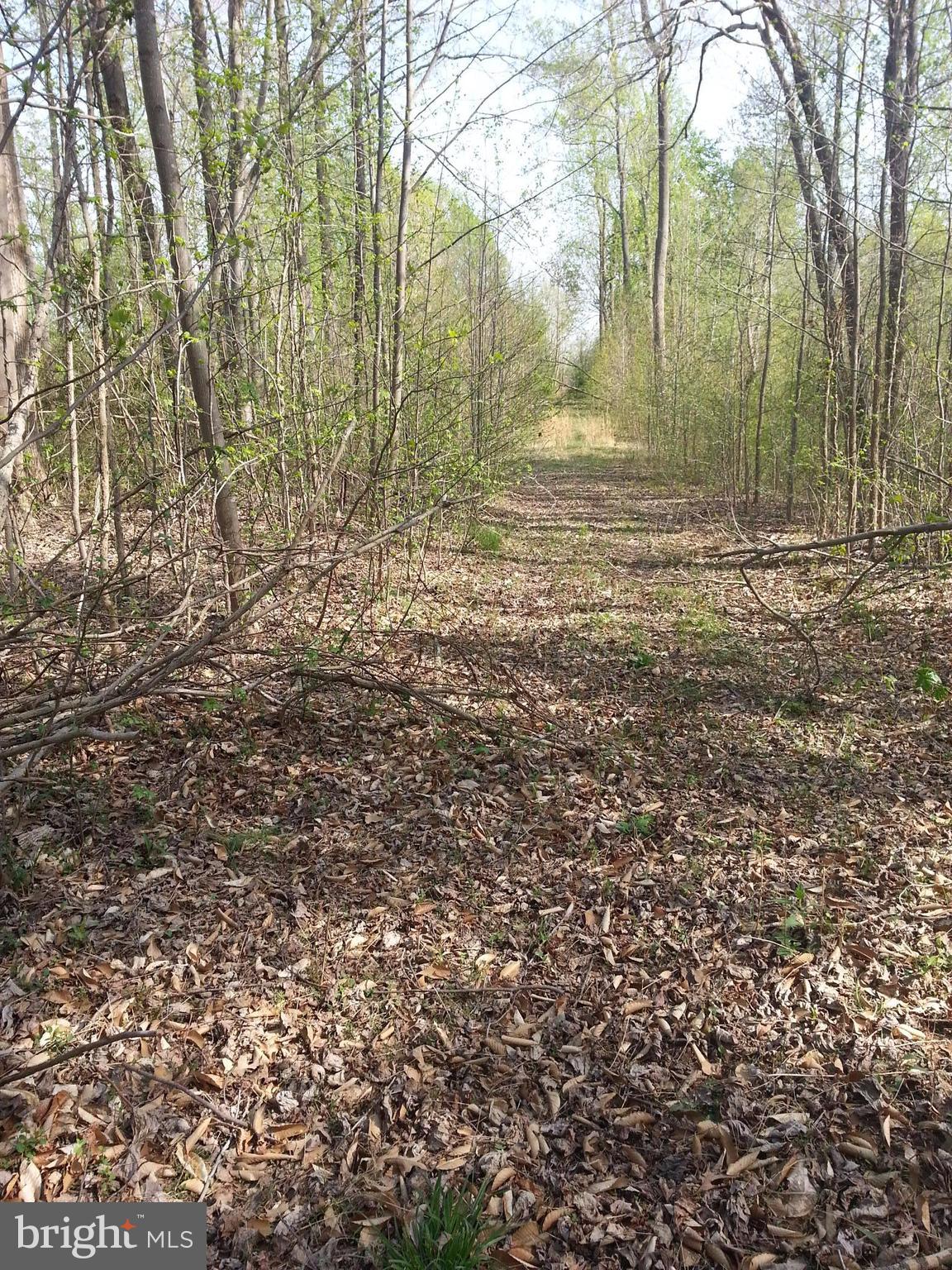 BACK ON Market..Upscale homes being built in area. Most of land is wooded. Owner will consider partial financing. Perk was approved several years ago.