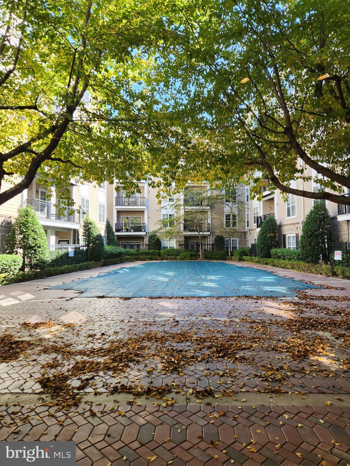 THE FITZ - Residential Lease