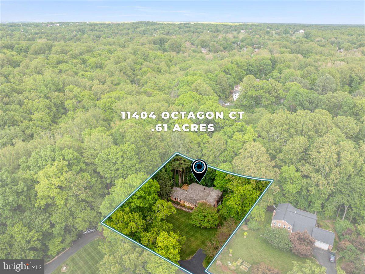 11404 OCTAGON COURT