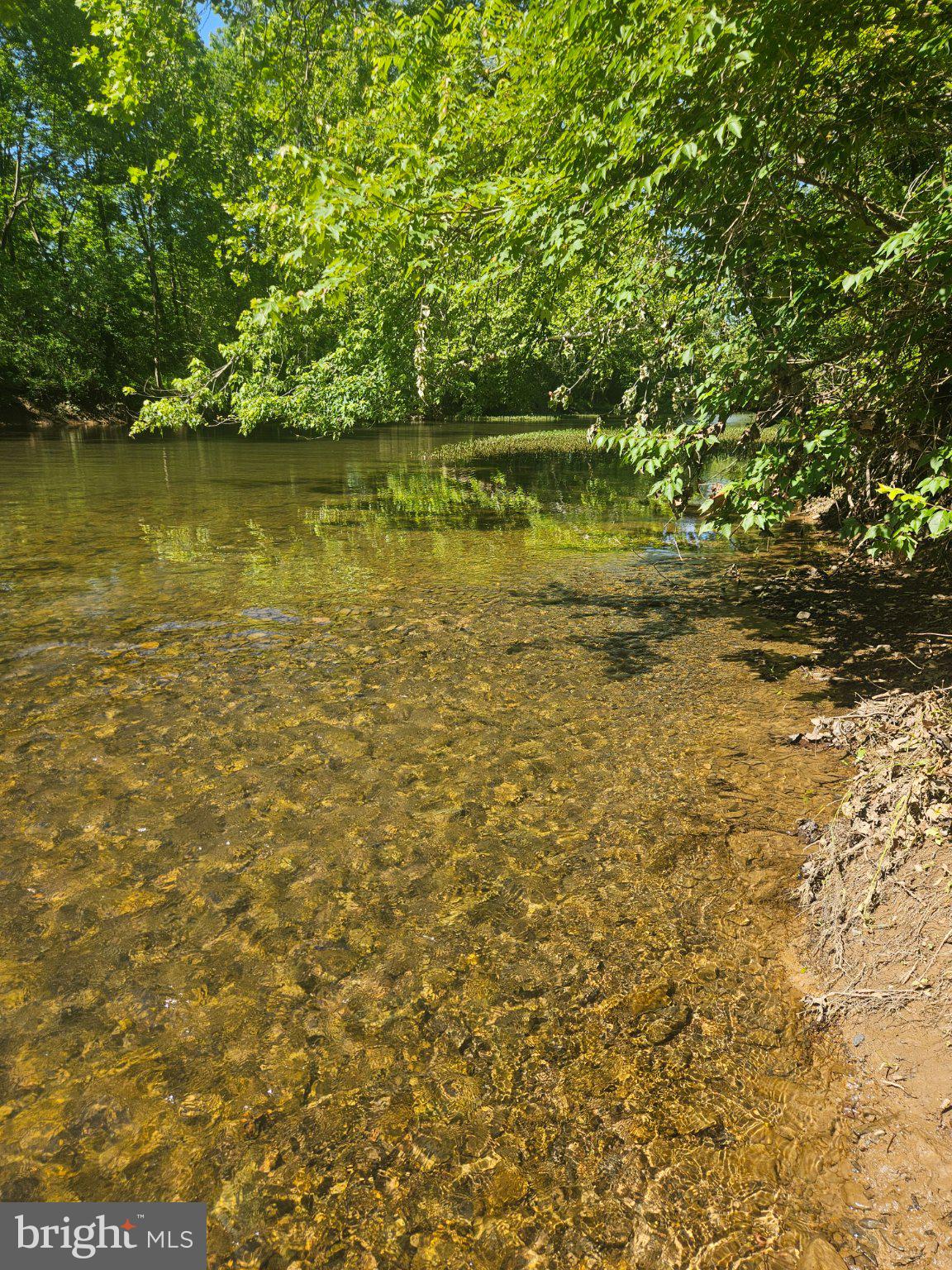 Lot 12 PUFFENBURGER LANE