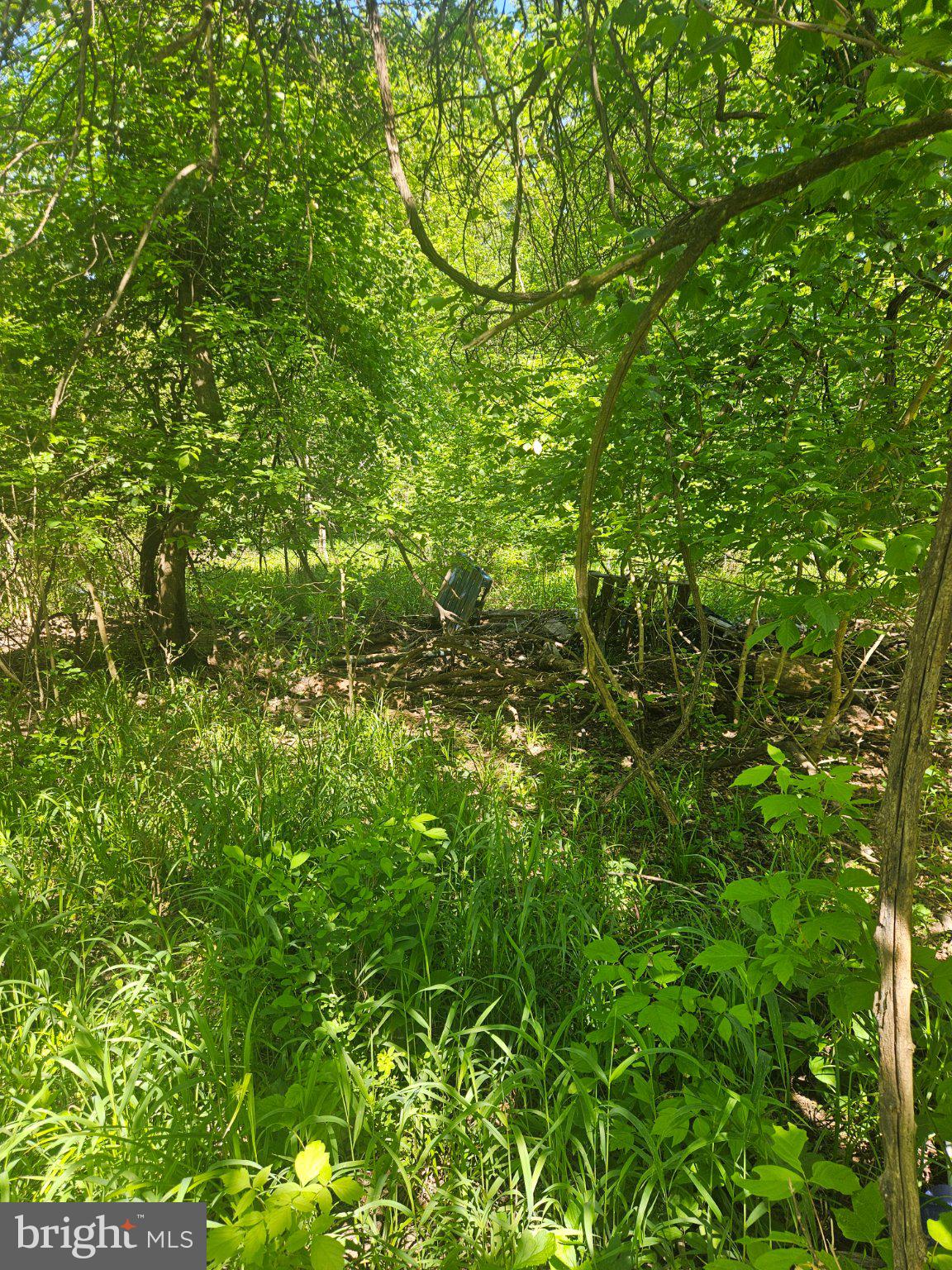 Lot 12 PUFFENBURGER LANE
