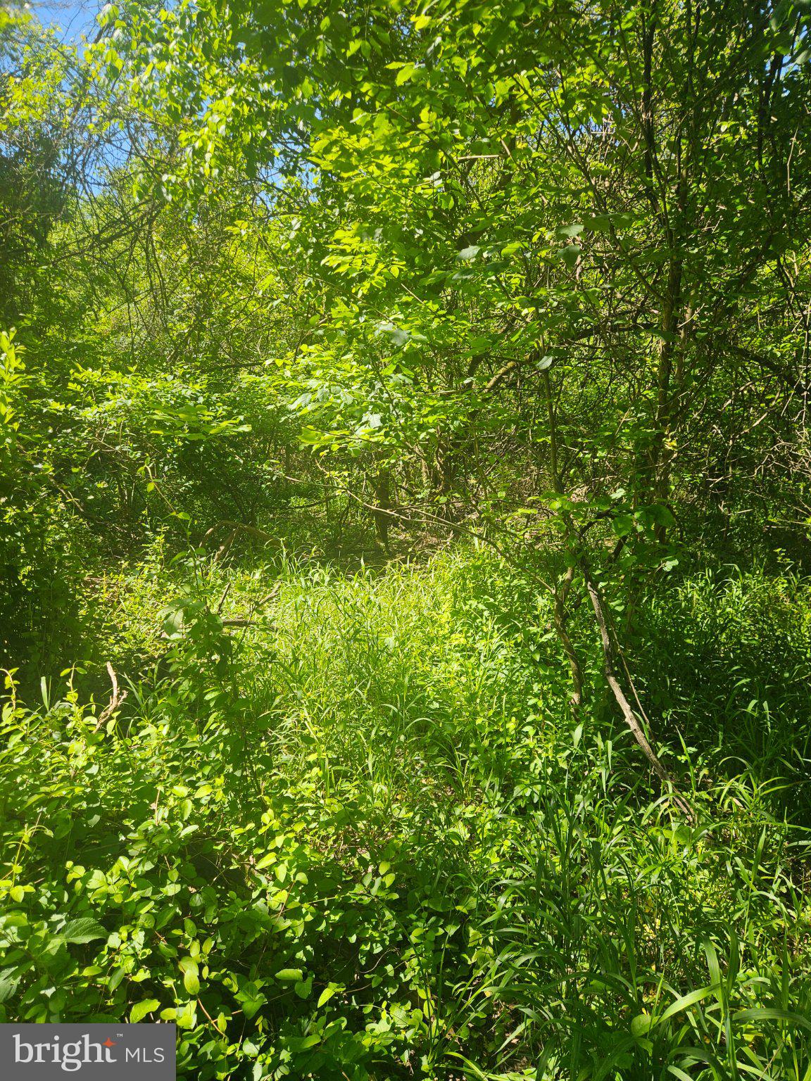 Lot 12 PUFFENBURGER LANE