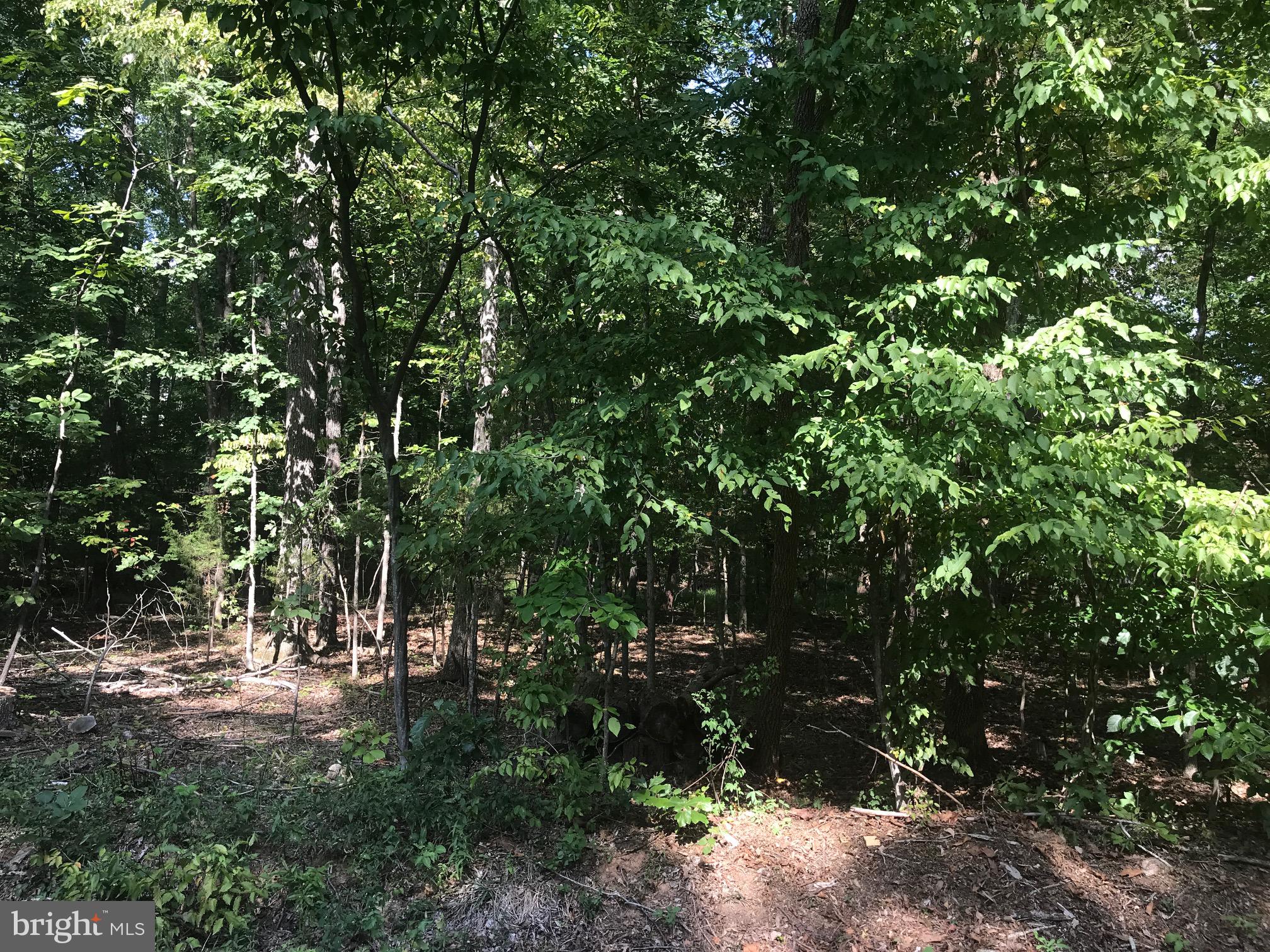 LAKE OF THE WOODS - Land