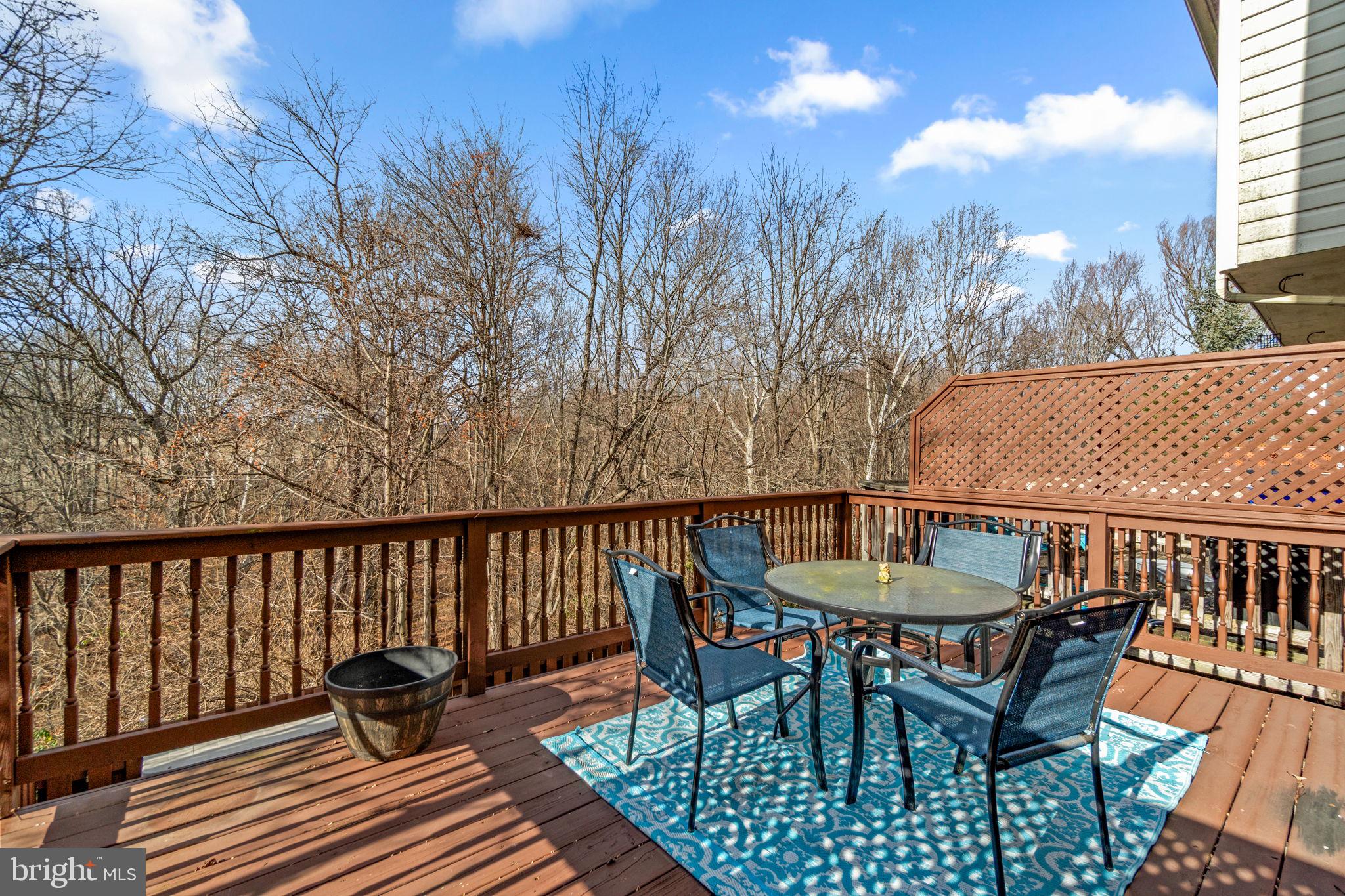 BALLENGER CREEK MEADOWS - Residential