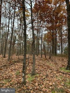 PRITCHARD FARM - Land