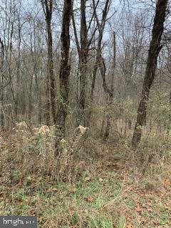 PRITCHARD FARM - Land