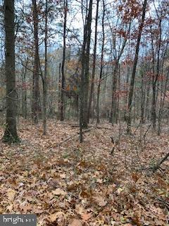 PRITCHARD FARM - Land