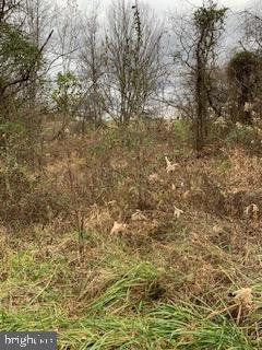 PRITCHARD FARM - Land