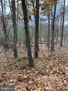 PRITCHARD FARM - Land