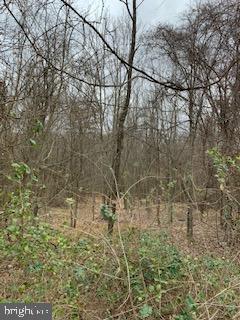 PRITCHARD FARM - Land