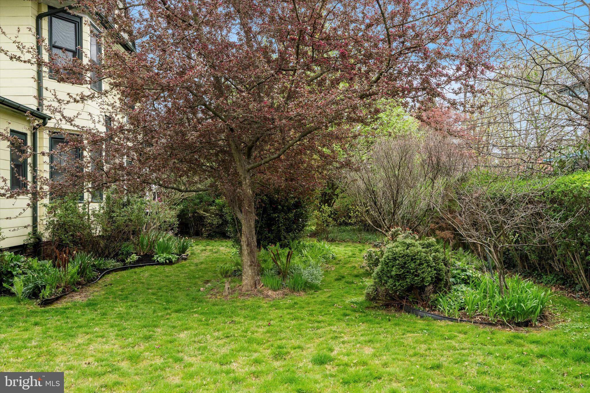 ELKINS PARK - Residential