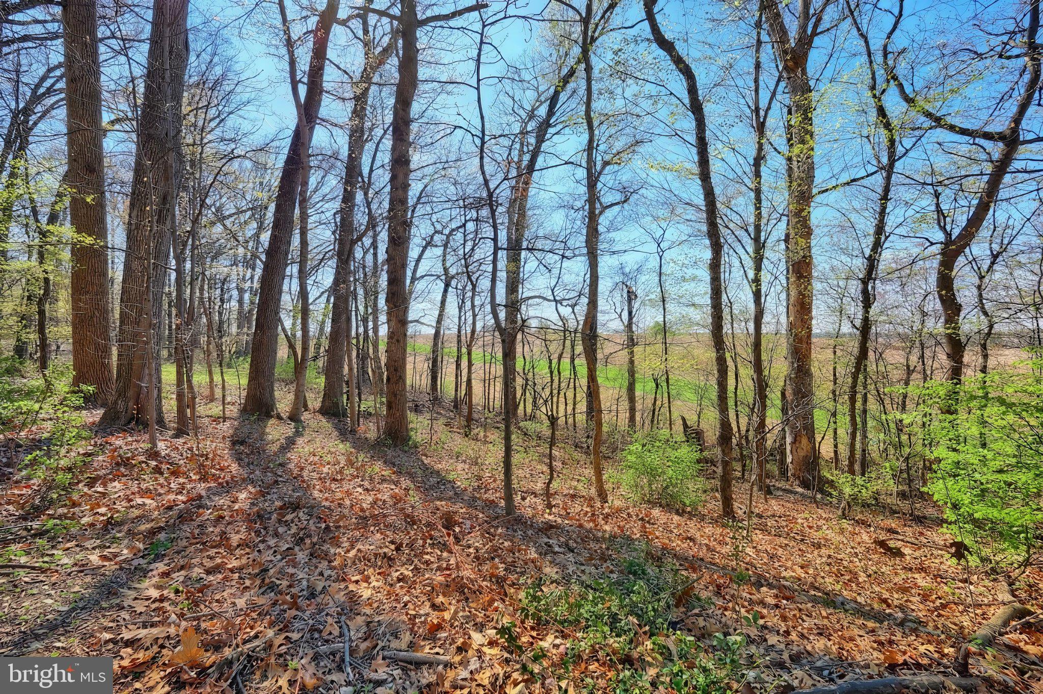 WINDSOR - Residential