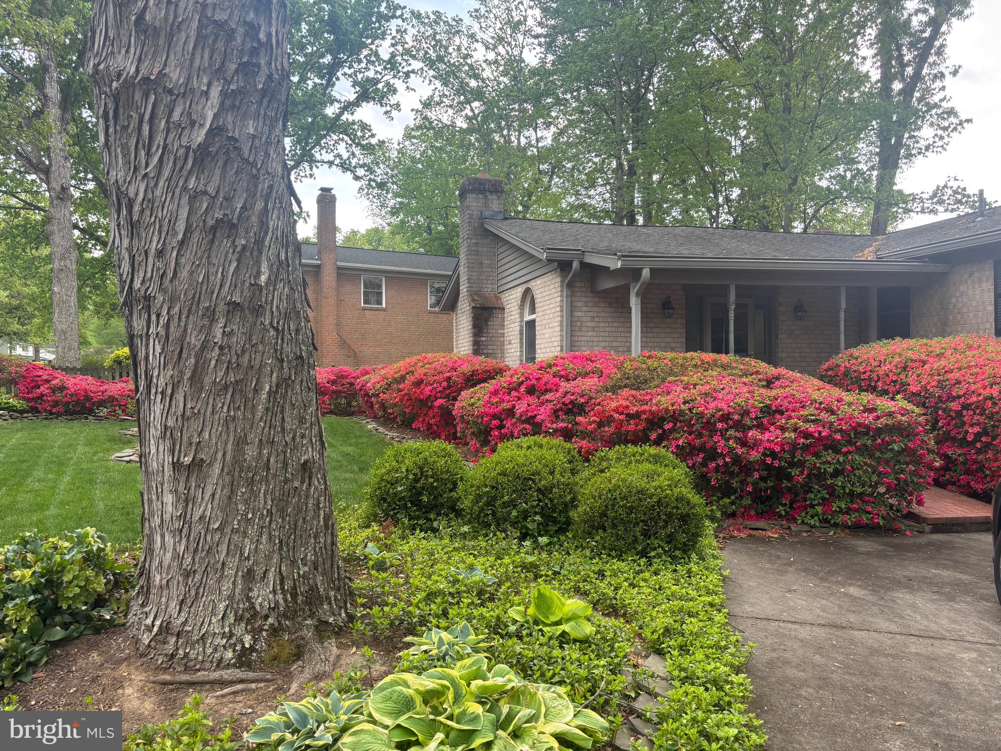 6604 GREY FOX DRIVE