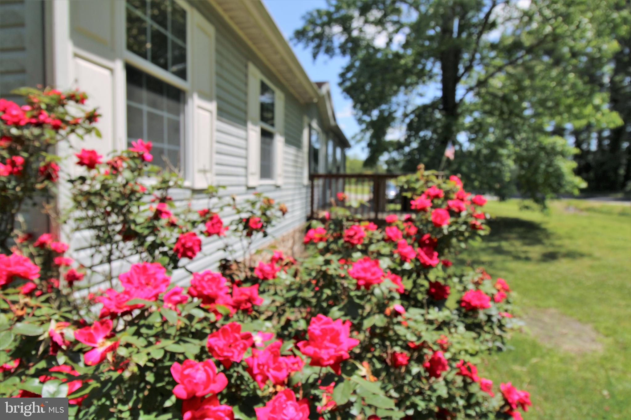 EDEN ESTATES - Residential