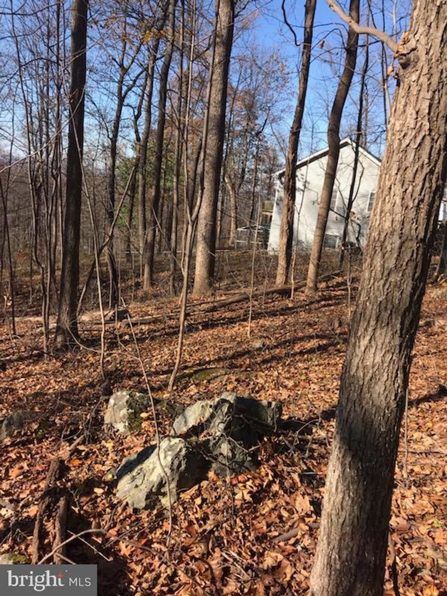 NO HOA, Motivated sellers, all documents available are uploaded on MLS. Beautiful lot ready to be built on. Facing west for perfect sunsets over the mountain lines and located near some of Virginias finest wineries.