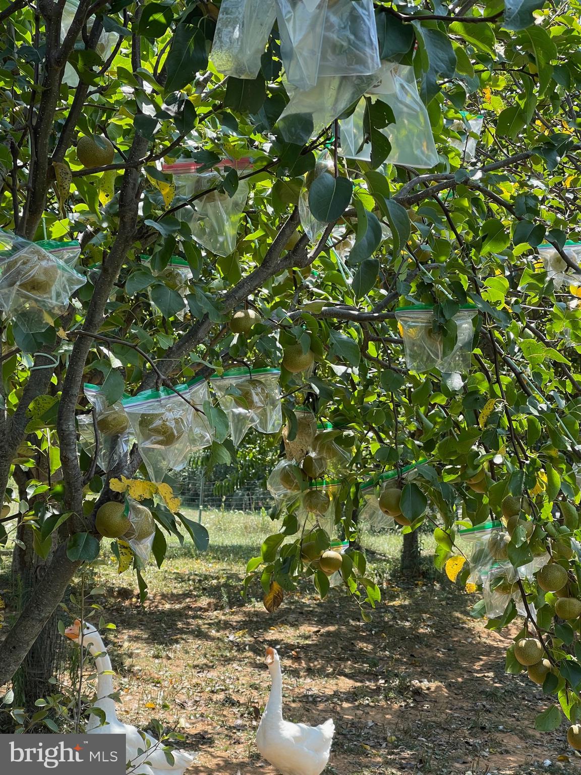 HILLSBORO - Residential