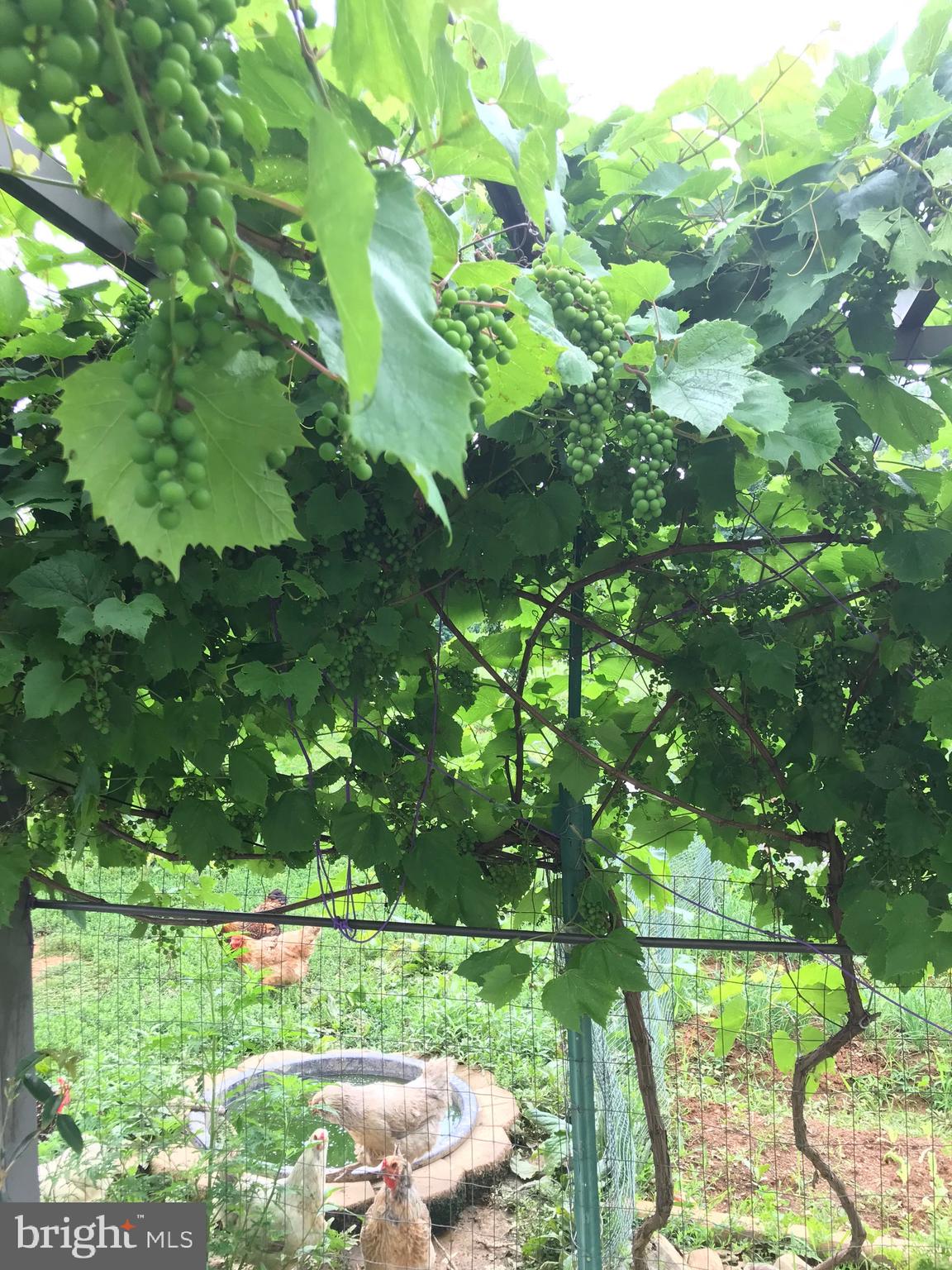 HILLSBORO - Residential