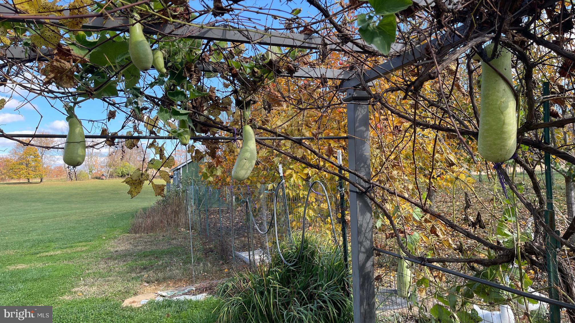 HILLSBORO - Residential