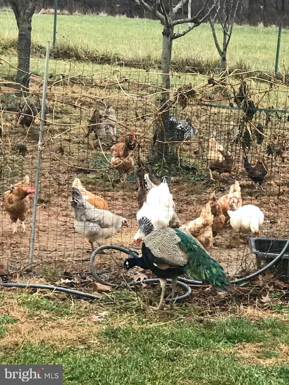 HILLSBORO - Residential