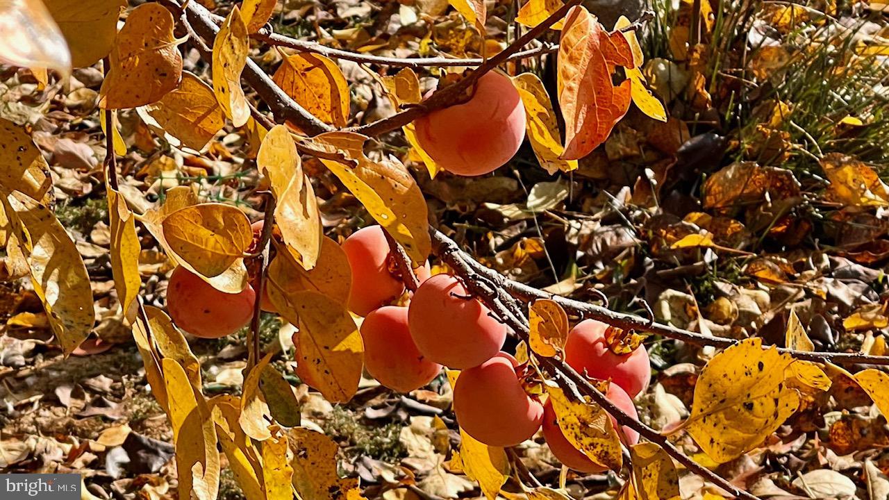 HILLSBORO - Residential