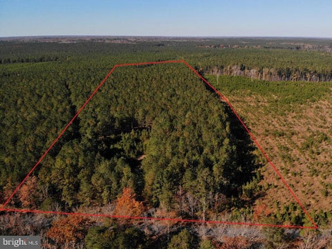 Vacant Land For Sale - Pole Run Rd<br/> DISPUTANTA, VA 23842