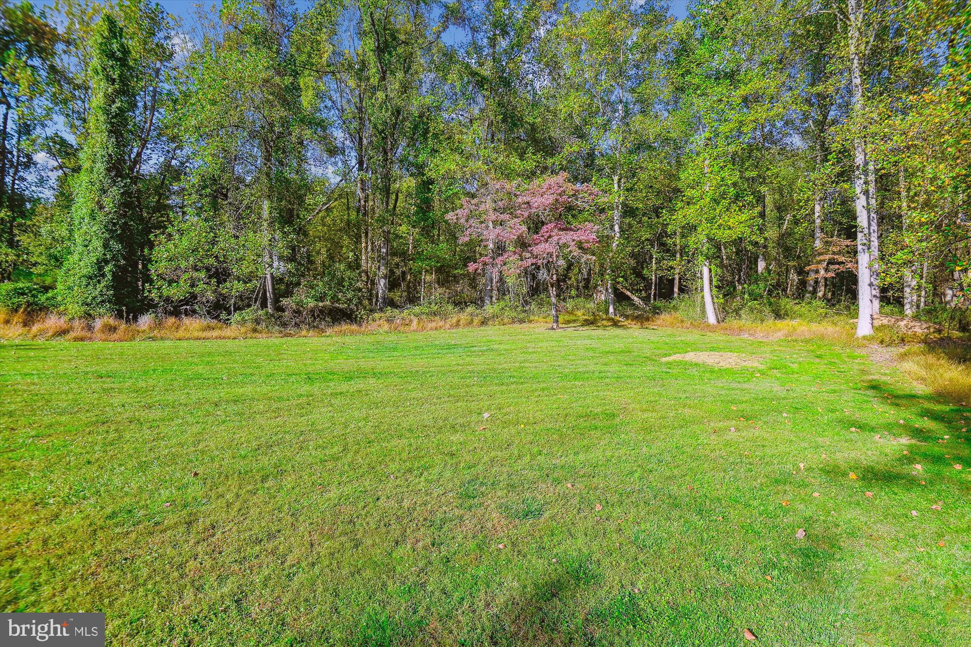 FALLS ROAD CORRIDOR - Residential