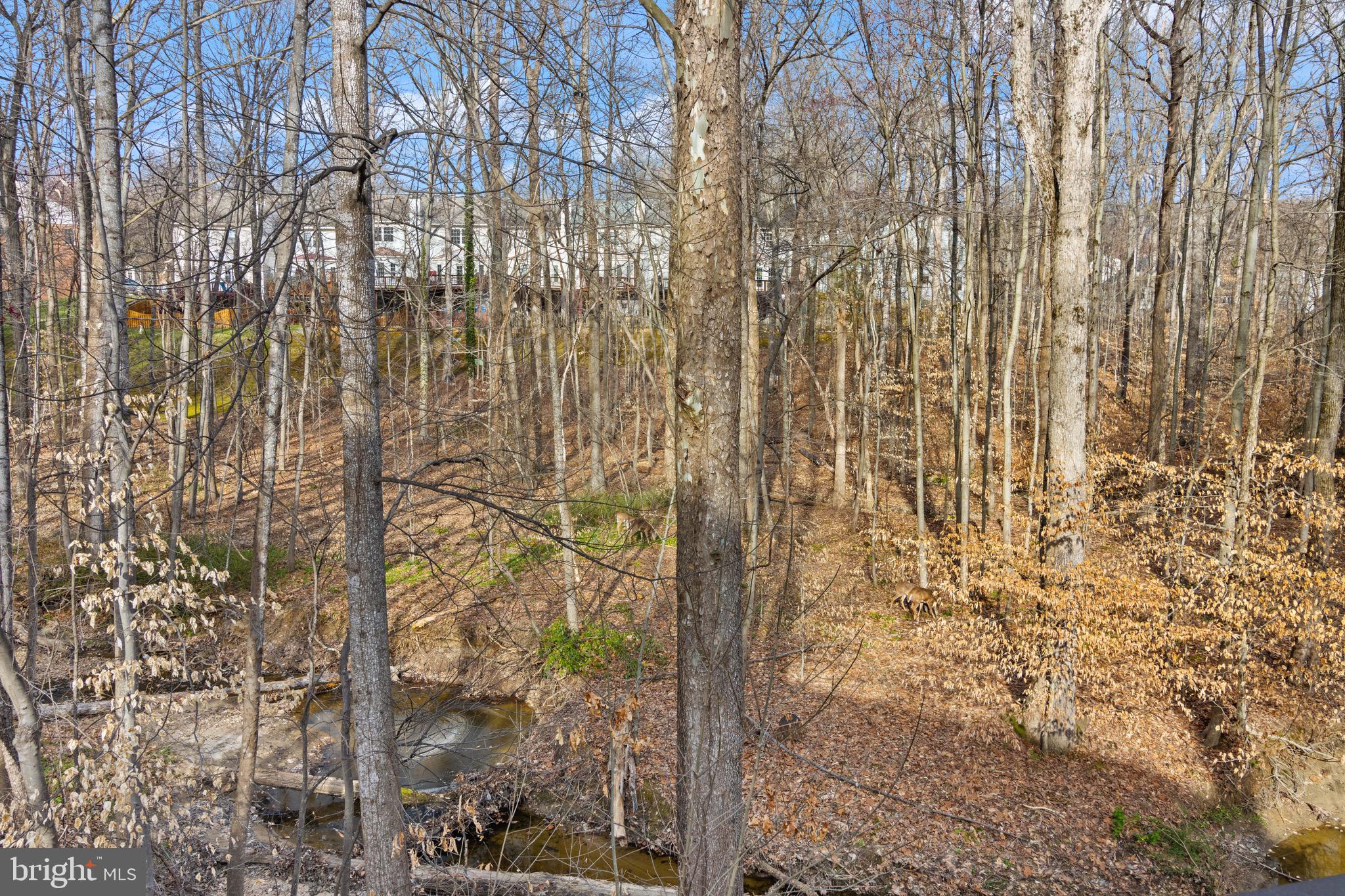 INGLEWOOD ESTATES - Residential