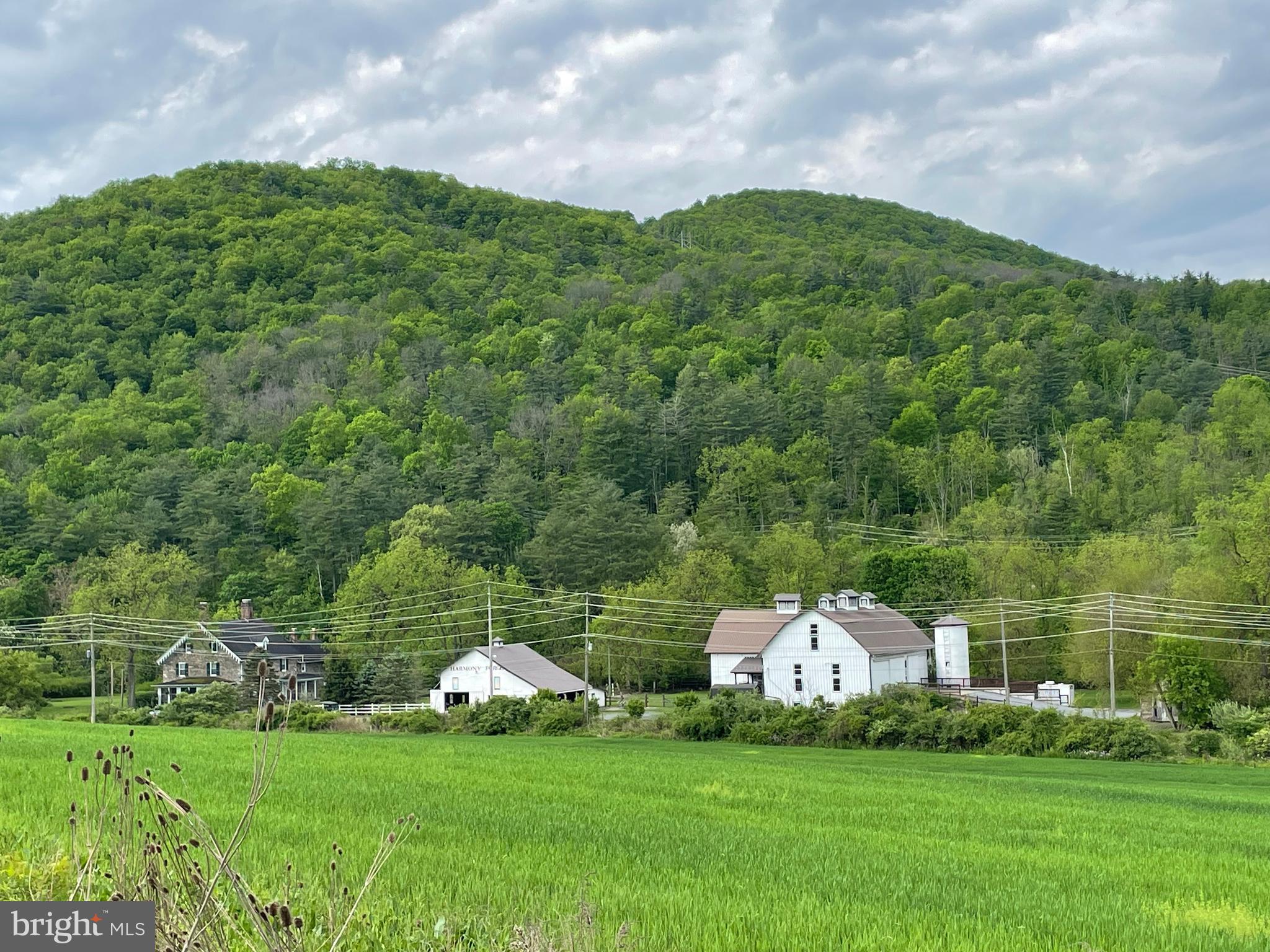 NONE AVAILABLE - Farm