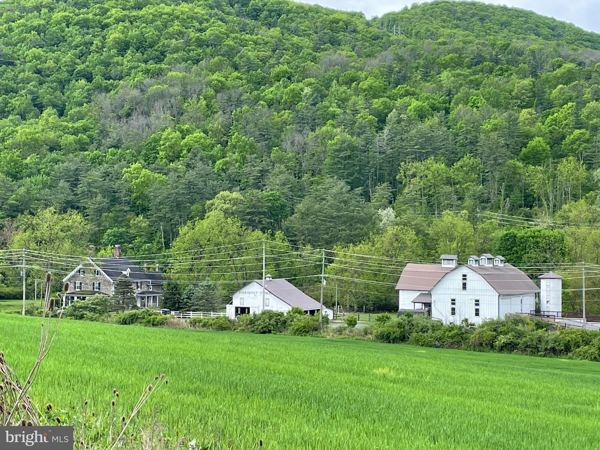 NONE AVAILABLE - Farm