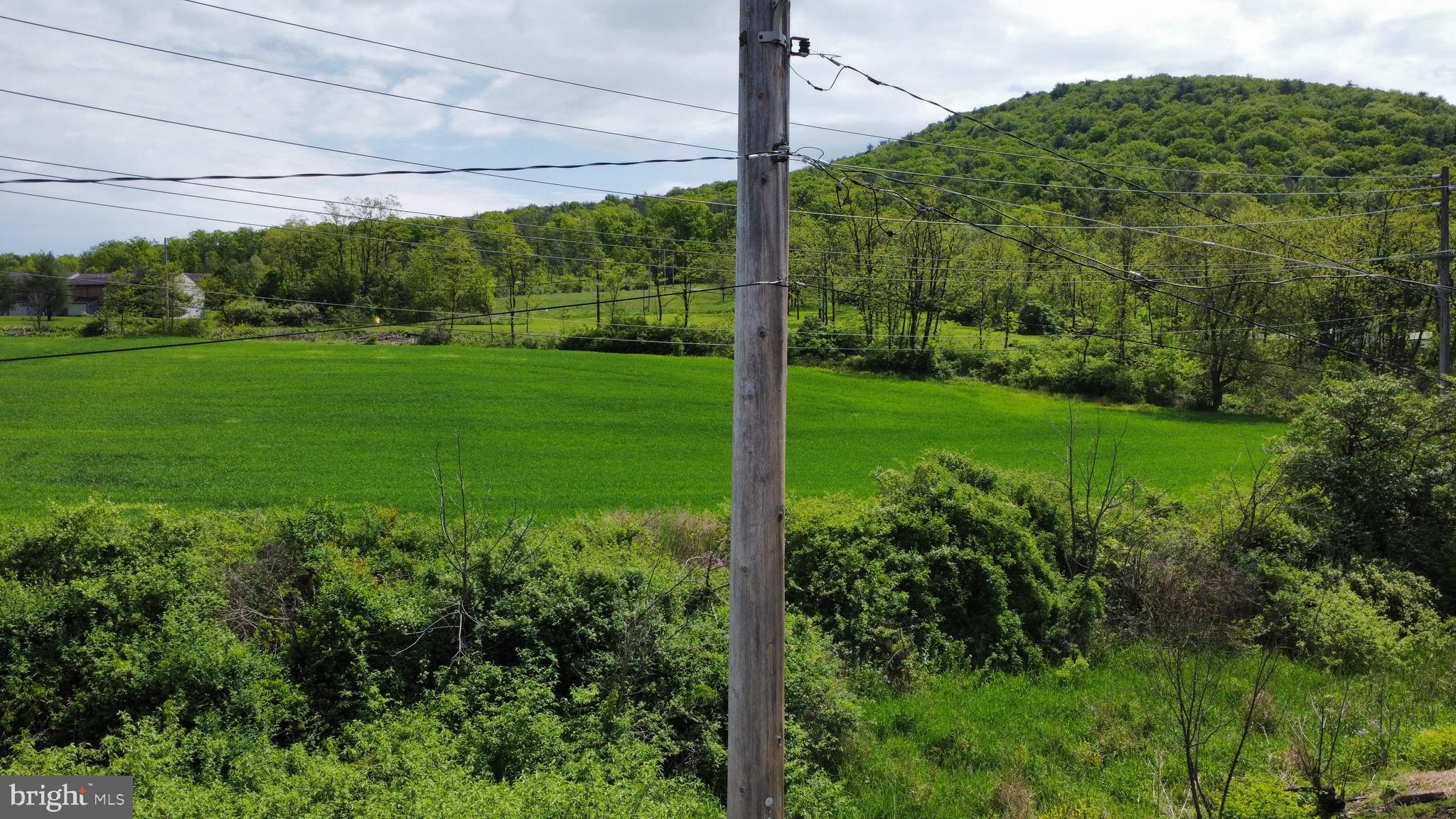 NONE AVAILABLE - Farm