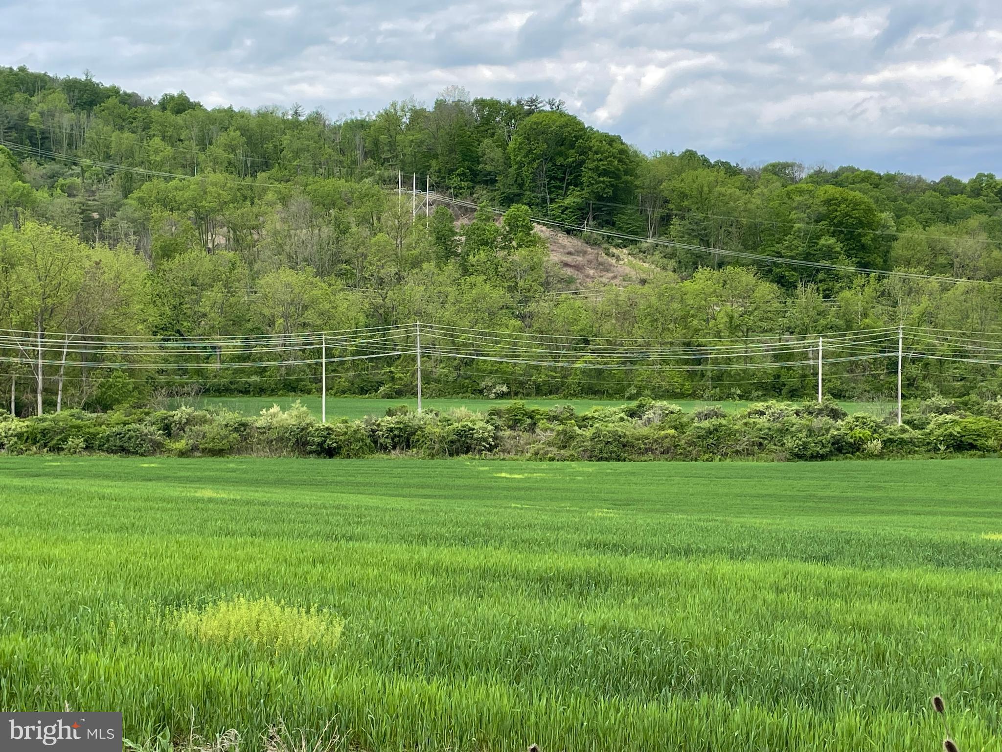 NONE AVAILABLE - Farm